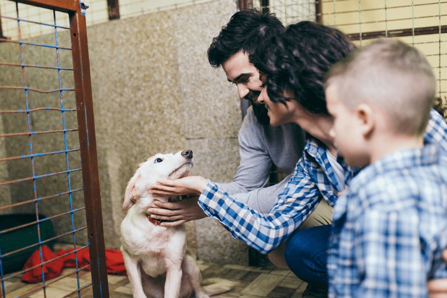 Family meeting a dog at a shelter