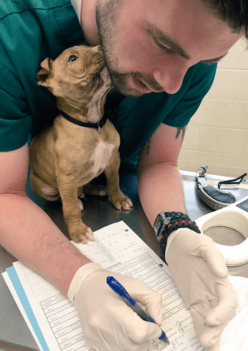 Veterinarian in scrubs holding a puppy during a check-up