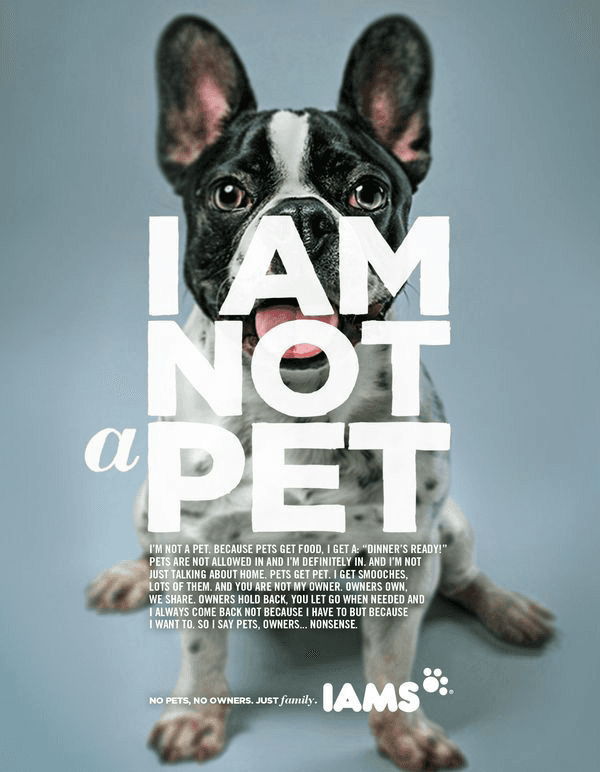 I Am Not A Pet campaign