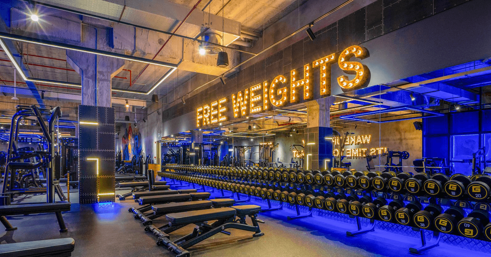 GymNation gym interior with free weights area