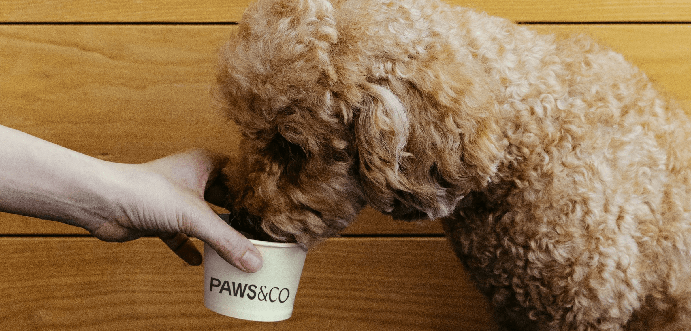 Dog drinking from a Paws & Co branded cup