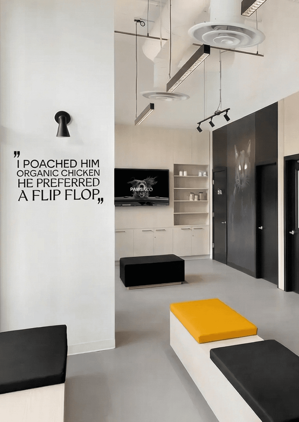 Paws & Co clinic interior with modern design and pet-friendly quotes on walls